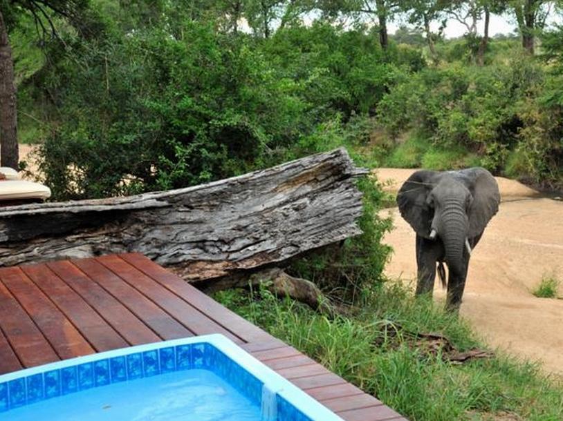 Imbali Safari Lodge Mluwati Concession Εξωτερικό φωτογραφία